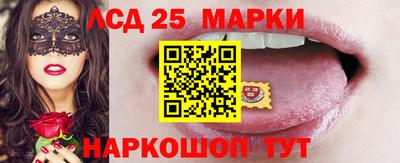 гидра Будённовск