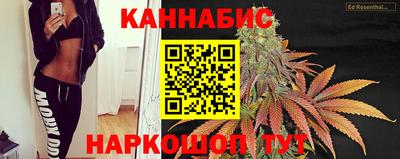 гидра Будённовск