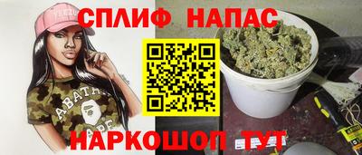 гидра Будённовск