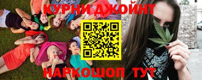 гидра Будённовск