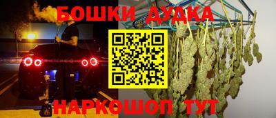 гидра Будённовск